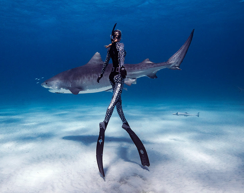 A diver in a wetsuit swimming with a shark underwater, highlighting shark conservation efforts.