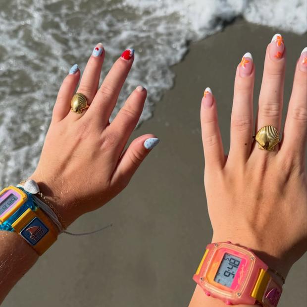 Shell rings and Shark Clips at the shoreline