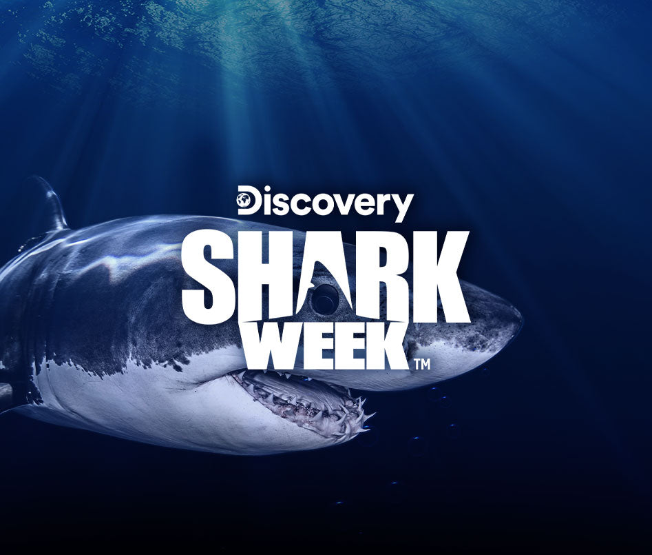 Freestyle / 2022 Shark Week Collab Collection image