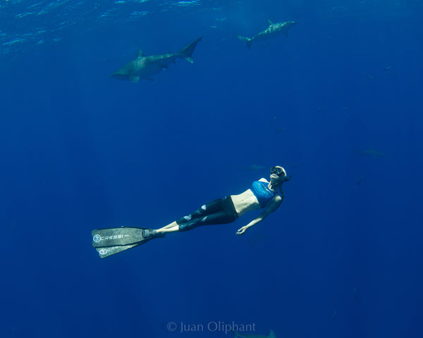 A snorkeler drifts in deep blue waters with sharks, inspired by Freestyles OCEAN RAMSEY SIGNATURE SHARK CLASSIC CLIP.